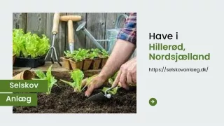 Have i Hillerød, Nordsjælland