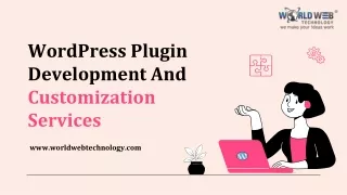 wordpress plugin development and customization services