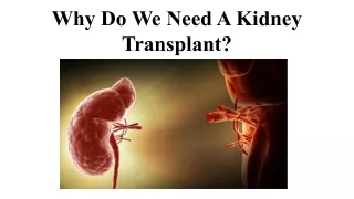 Why Do We Need A Kidney Transplant_
