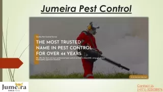 Organic Pest Control Dubai