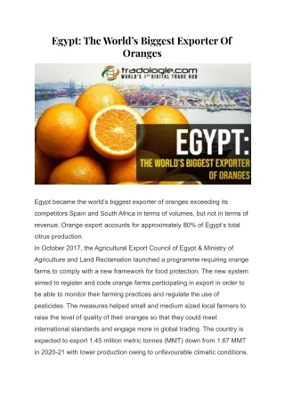 Egypt_ The World’s Biggest Exporter Of Oranges