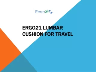 ERGO21 Lumbar Support Cushion For Travel