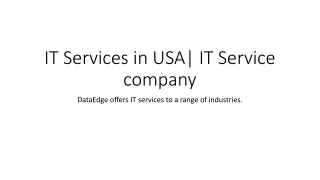 IT services company | software development company | USA