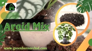 Buy the Best Soil Free Aroid Mix - Green Barn Orchid