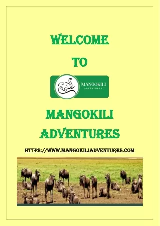 Experience the Wonders of Tanzania's Wildlife on Safari with Mango Kilimanjaro Adventures