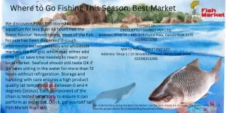 Where to Go Fishing This Season Best Market