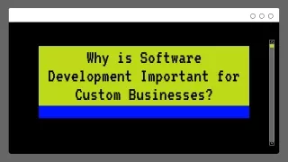 Software Development Important for Custom Businesses