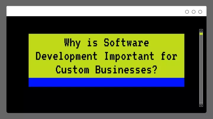 why is software development important for custom