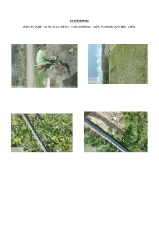 23 2555299402