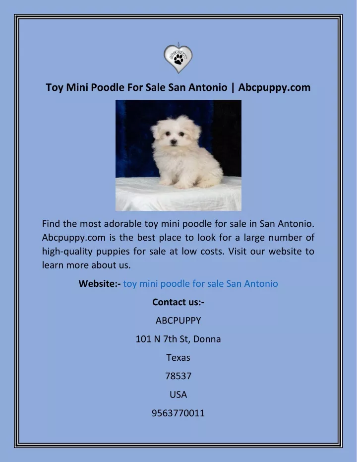 toy mini poodle for sale san antonio abcpuppy com