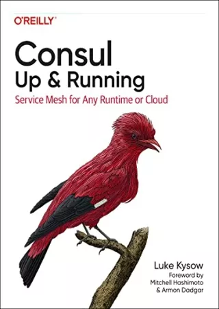 PDF/BOOK Consul: Up and Running: Service Mesh for Any Runtime or Cloud
