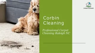 Carpet Cleaners In Raleigh NC