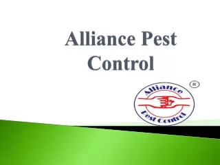 Home Pest Control Services in Navi Mumbai | Call-9833024667|Alliance Pest Contro