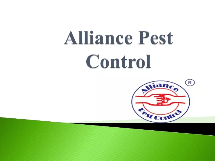 alliance pest control