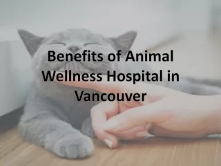 Benefits of Animal Wellness Hospital in Vancouver