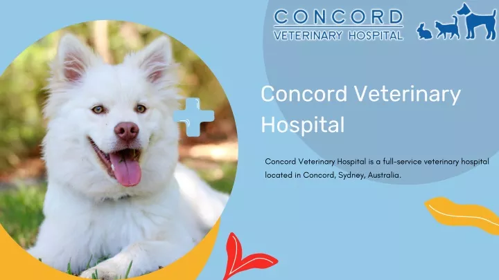 concord veterinary hospital