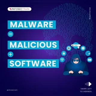learntorise
