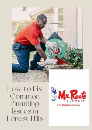 How to Fix Common Plumbing Issues in Forest Hills
