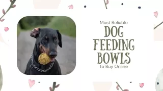 Most Reliable Dog Feeding Bowls to Buy Online