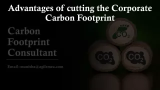 advantages of cutting the corporate carbon footprint