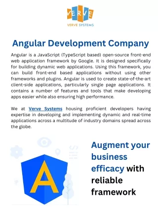 Angular Development Company - Verve Systems