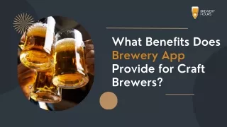 What Benefits Does Brewery App Provide for Craft Brewers