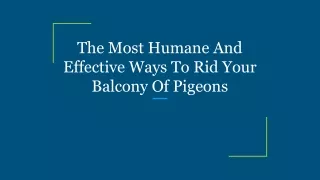 The Most Humane And Effective Ways To Rid Your Balcony Of Pigeons