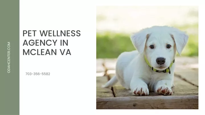 pet wellness agency in mclean va