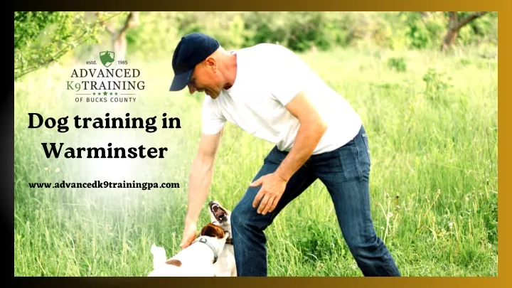 dog training in warminster