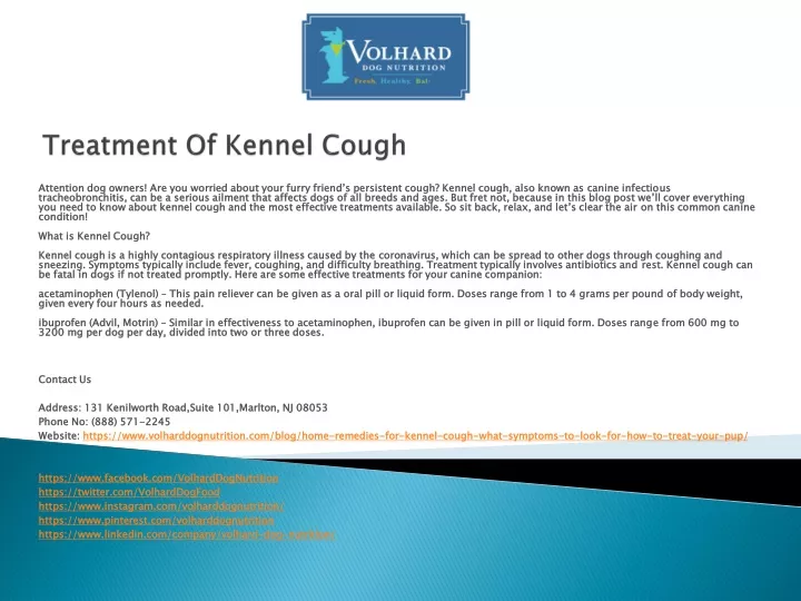 treatment of kennel cough