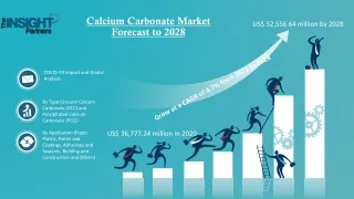 Calcium Carbonate Market Scope and Research Methodology