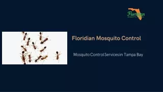 Get Mosquito Control Services in Tampa Bay
