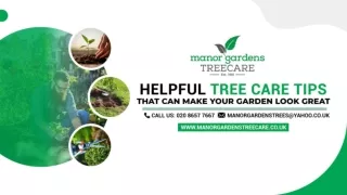 Helpful Tree Care Tips that Can Make Your Garden Look Great