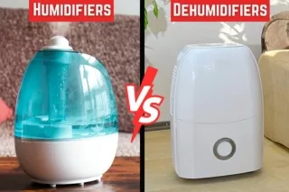 Humidifiers vs. Dehumidifiers: Which One Is Right for You?