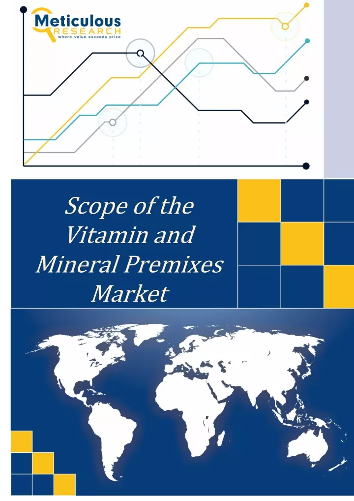 scope of the vitamin and mineral premixes market