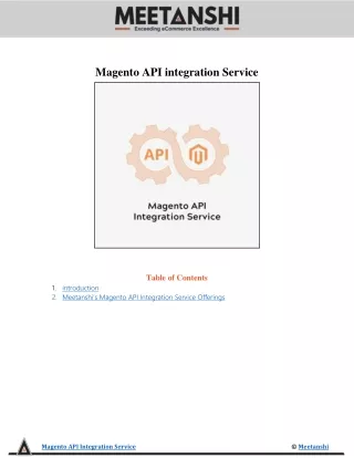 Magento API Integration Service