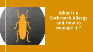 what is a cockroach allergy and how to manage it