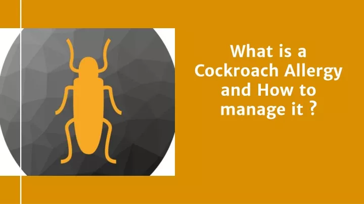what is a cockroach allergy and how to manage it