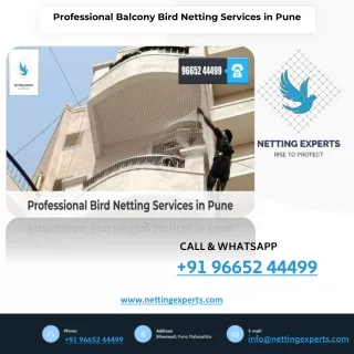 professional balcony bird netting services in pune
