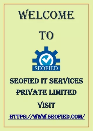 Get Your Business Noticed Online with Seofied's SEO Company in Bhubaneswar