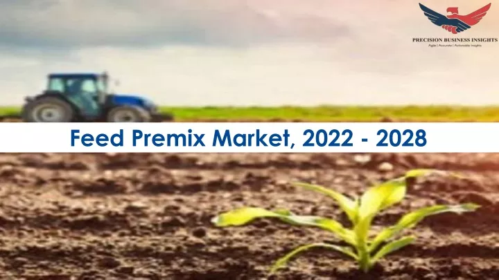 feed premix market 2022 2028