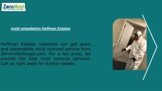 mold remediation hoffman estates
