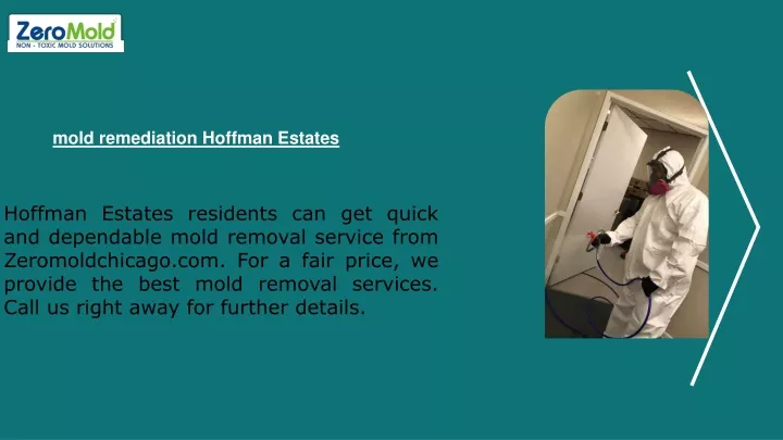 mold remediation hoffman estates