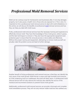 Beautiful view of Professional Mold Removal Services