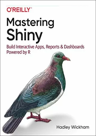 PDF/READ Mastering Shiny: Build Interactive Apps, Reports, and Dashboards Powere