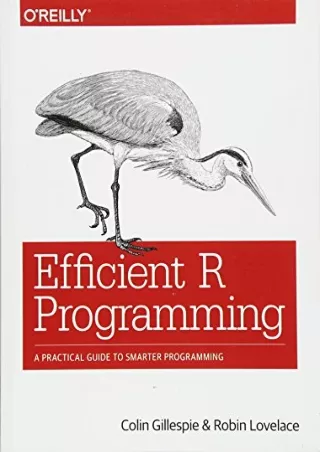 DOWNLOAD/PDF  Efficient R Programming: A Practical Guide to Smarter Programming