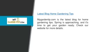 Latest Blog Home Gardening Tips  Mygardentip.com