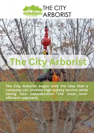 Tree Removal Service Near Me - The City Arborist