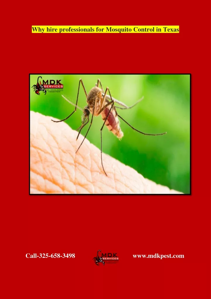 why hire professionals for mosquito control