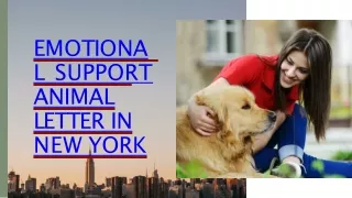 Emotional Support Animal Letter in New York Online